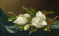 Magnolias on Light Blue Velvet Cloth — Tote Bag