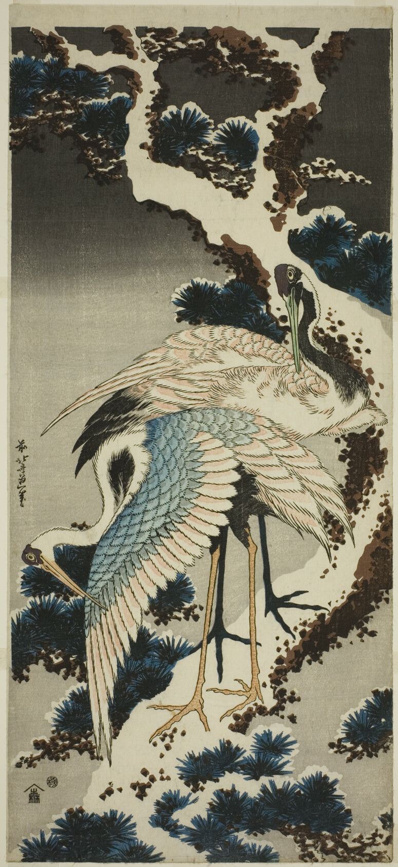 Cranes on snow-covered pine — Poster