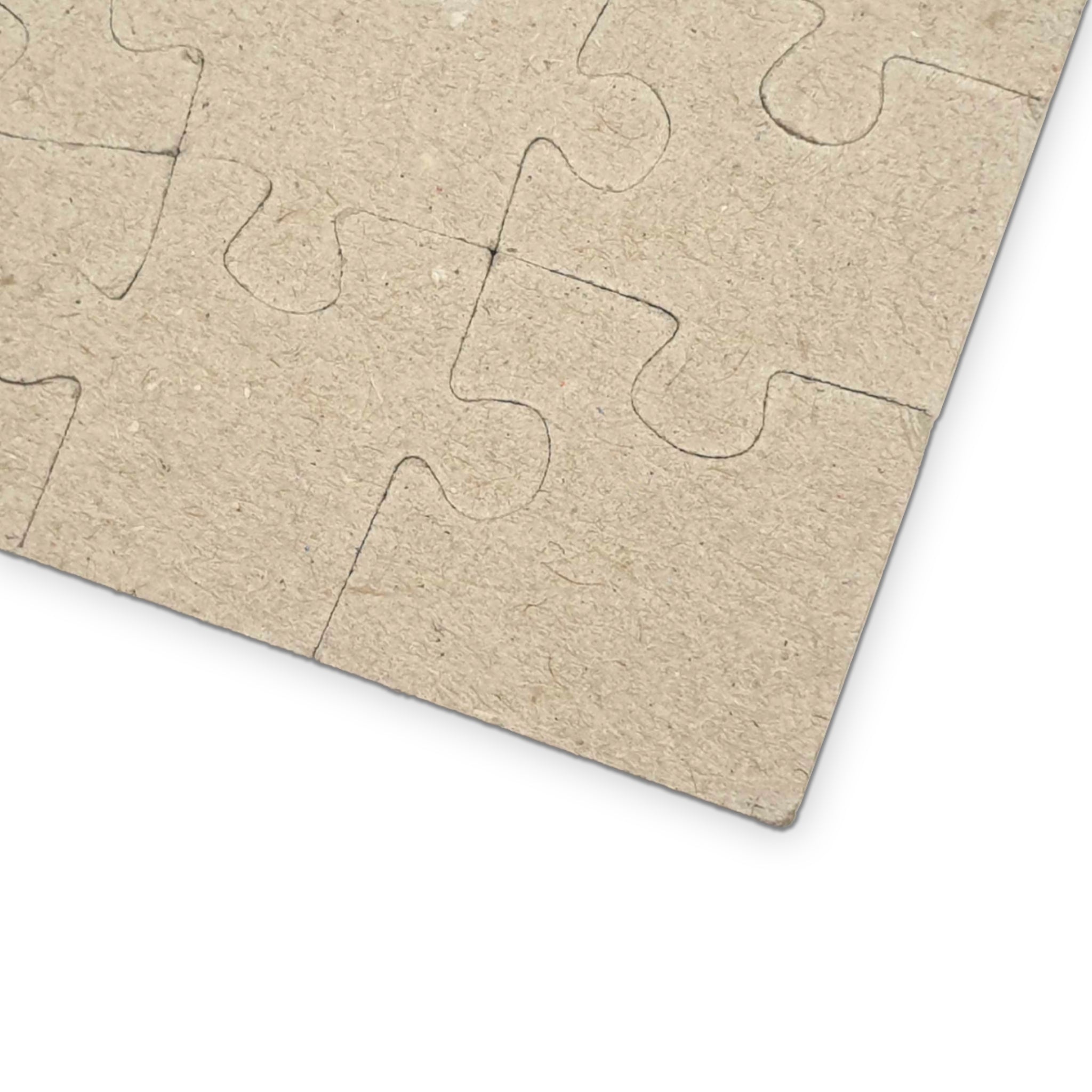 Coin Block Savings & Loan — Puzzle