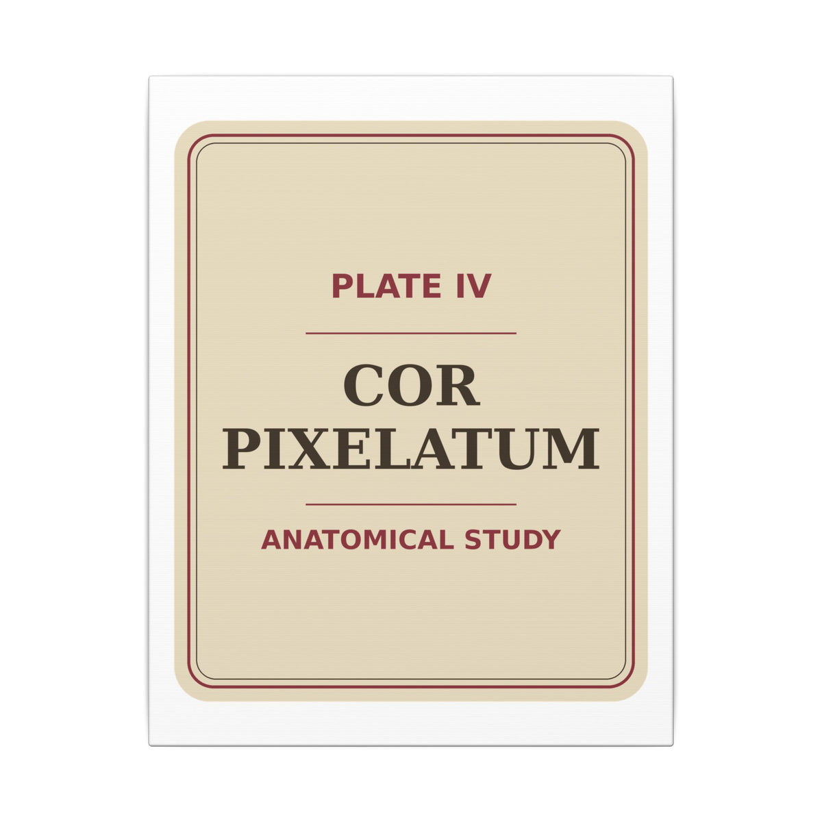 Pixel Heart Anatomy — Canvas