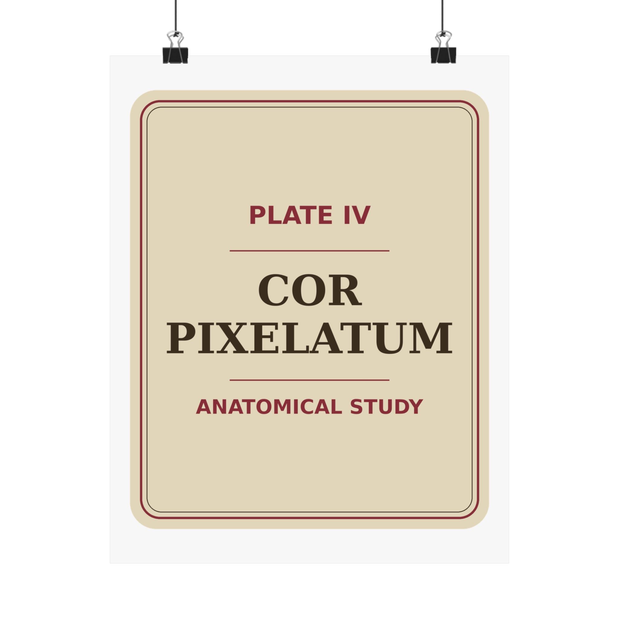 Pixel Heart Anatomy — Poster