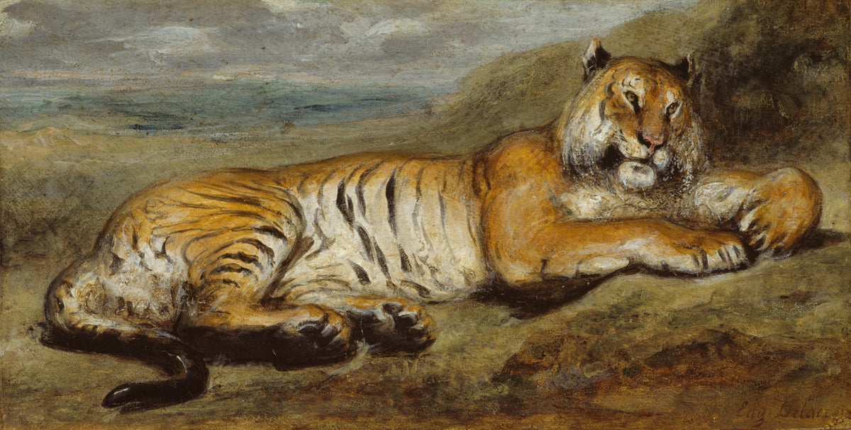 Tiger Resting — Poster